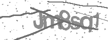 visual captcha